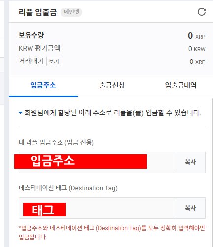 업비트 리플 입금 주소