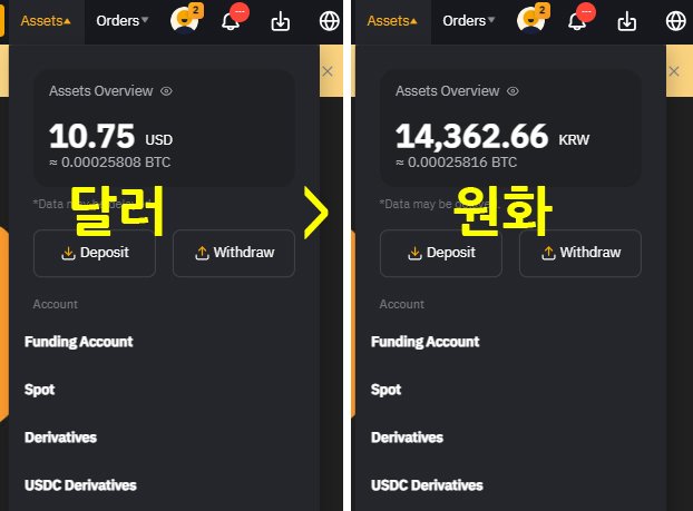 바이비트 원화