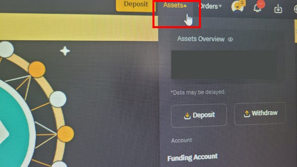 바이비트 Assets